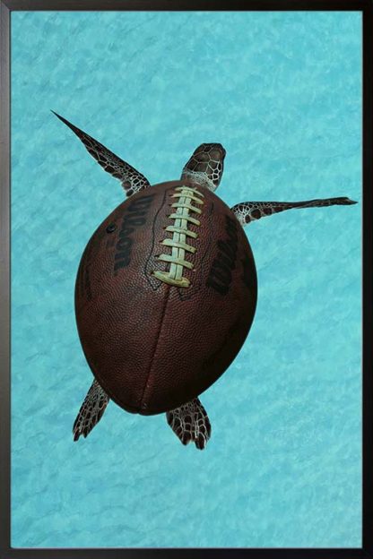 Turtle ball animal poster