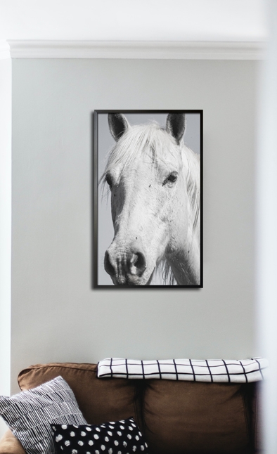 White horse in gray Poster - Artdesign