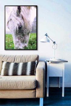 Horse eating grass poster - Artdesign