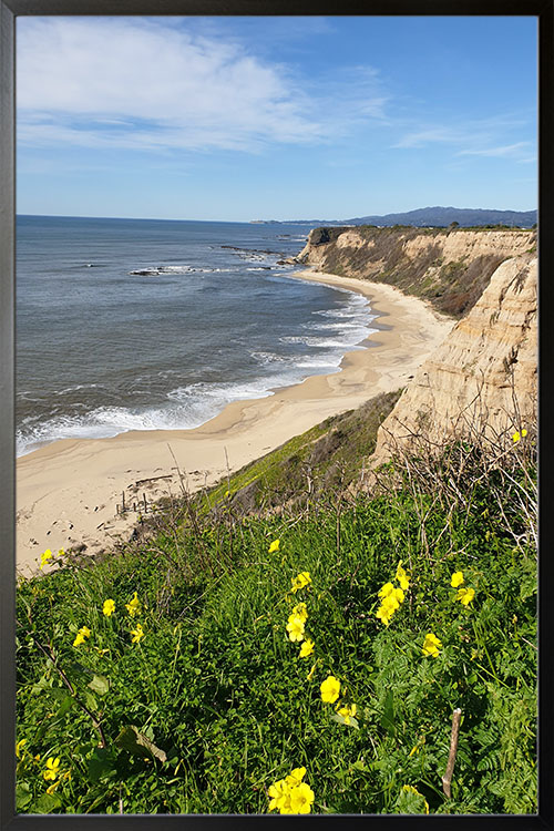 Seaside Flowers poster