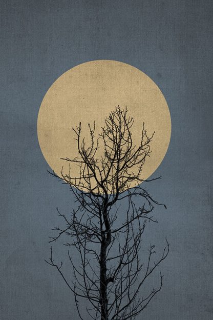 Gold moon at midnight No 4 poster