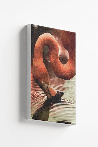 Drinking flamingo Canvas