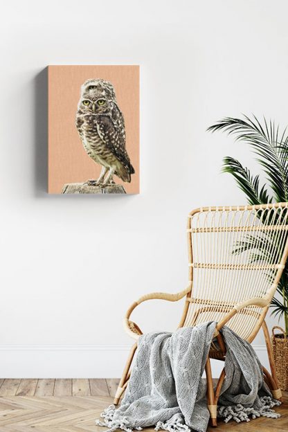 Twinning owl Canvas in Interior