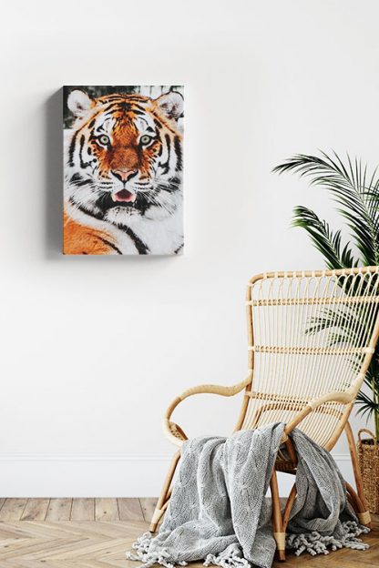 Tiger front view Canvas in Interior