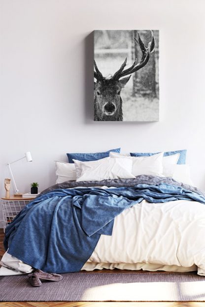 Deer face Canvas in Interior