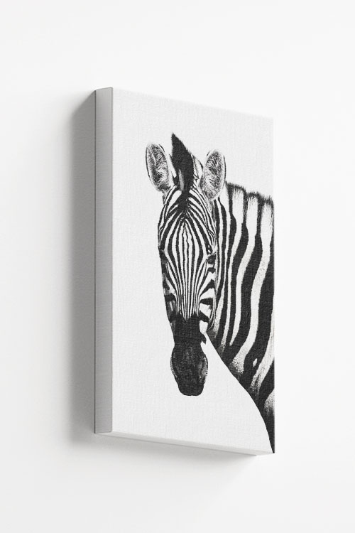 Zebra front face Canvas - Artdesign
