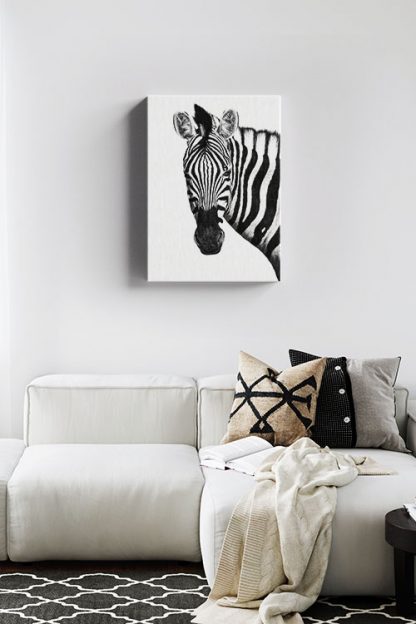 Zebra front face Canvas in Interior