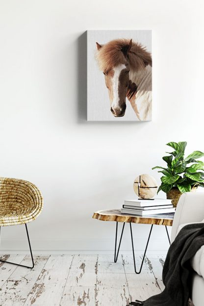 Horse in greyish background Canvas in Interior