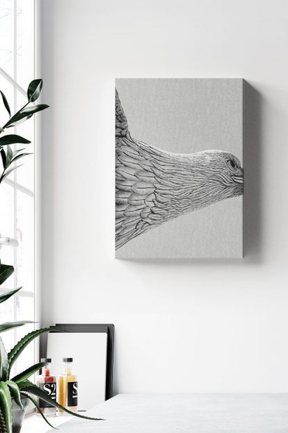 Accipitriformes Canvas in Interior