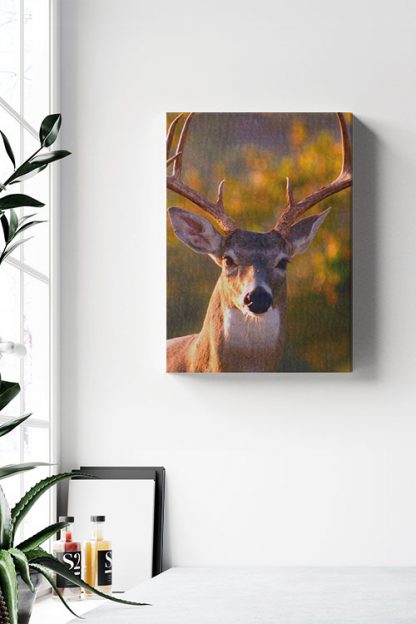 Deer front view Canvas in Interior