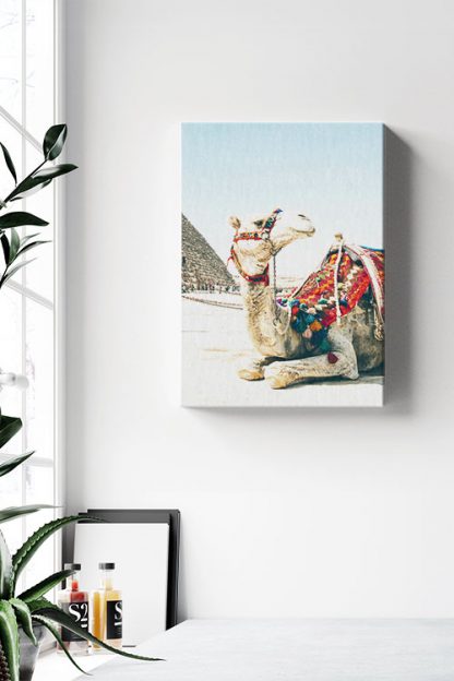 Travel Camel Canvas in Interior