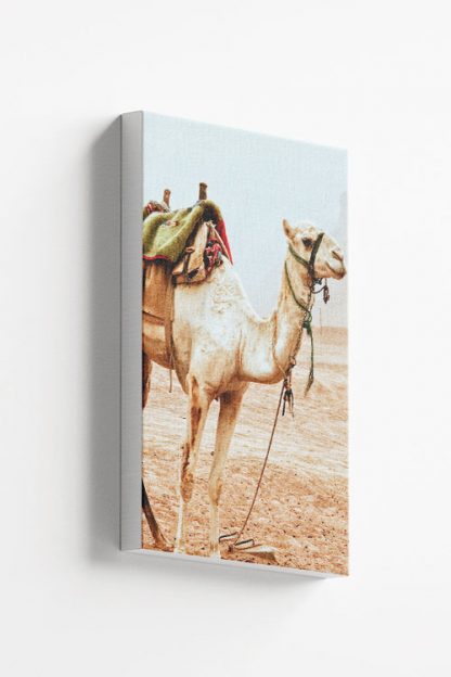 Travel camel stand up Canvas