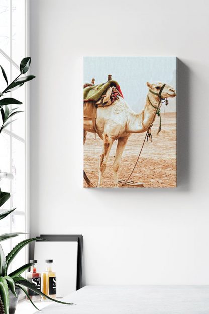 Travel camel stand up Canvas in Interior