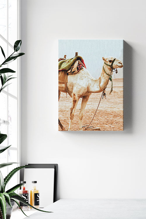 Travel Camel stand up Canvas - Artdesign