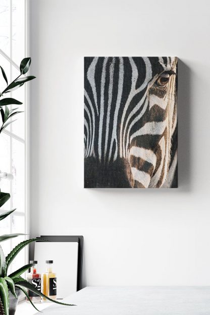 Zebra facial view Canvas in Interior