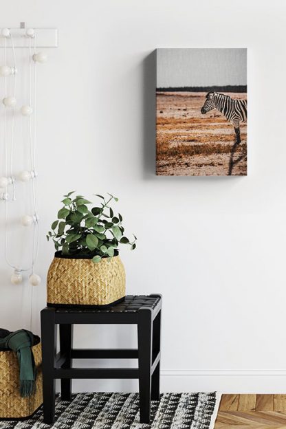 Half body zebra Canvas in Interior