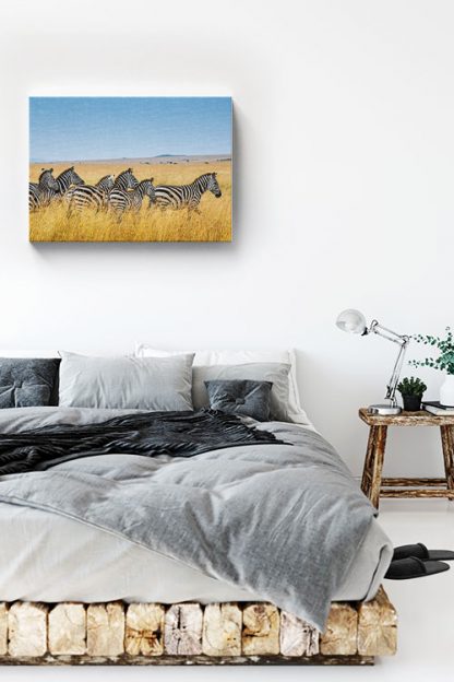 Several zebra Canvas in Interior