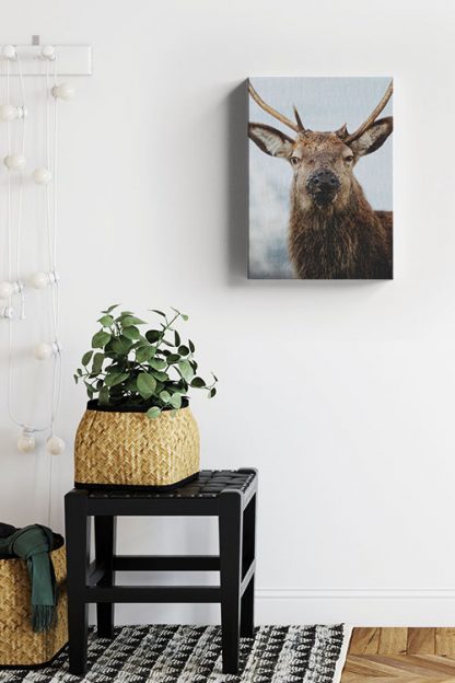 Deer front view 3 Canvas in Interior