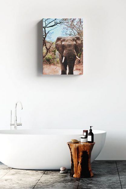 Elephant in dry tree background Canvas in Interior