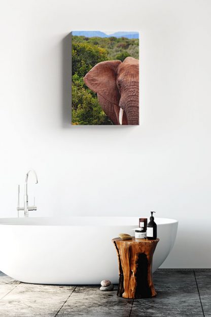 Elephant half face Canvas in Interior