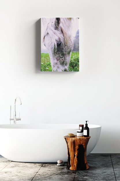 Horse eating grass Canvas in Interior