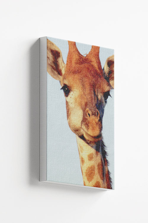 Chewing Giraffe colored Canvas