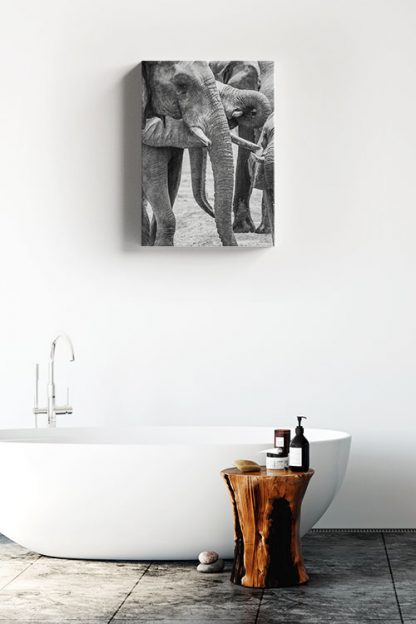 Several Elephants Canvas in Interior