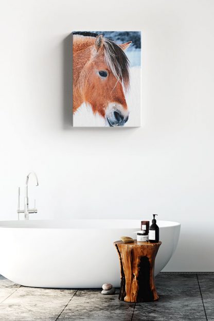 Beautiful horse Canvas in Interior