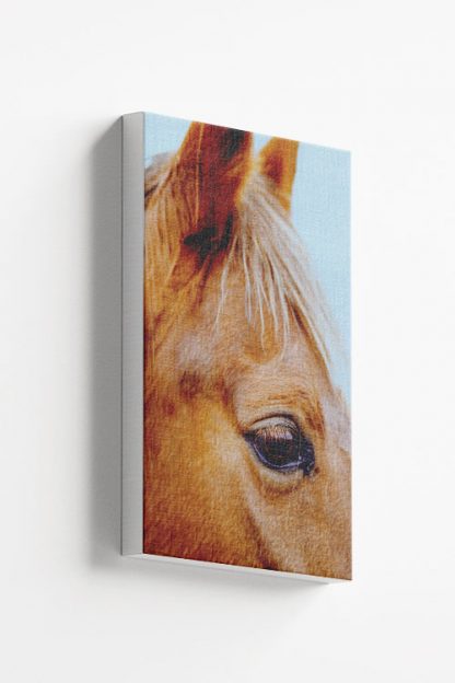 Horse Eye Canvas