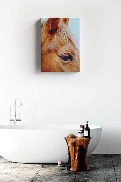 Horse Eye Canvas in Interior