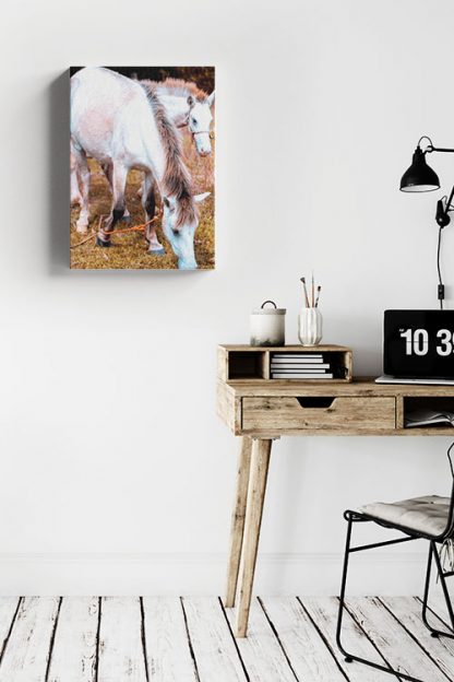 A couple of horse Canvas in Interior