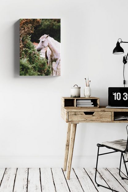 White horse and plant Canvas in Interior