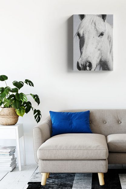 White horse in gray Canvas in Interior