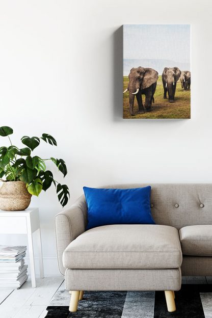 3 Elephant Canvas in Interior