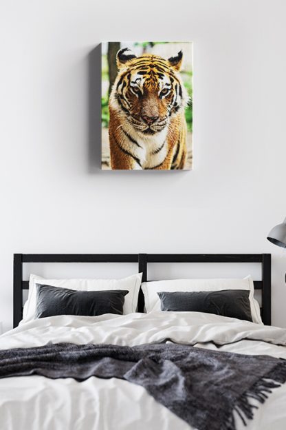 Wild tiger Canvas in Interior