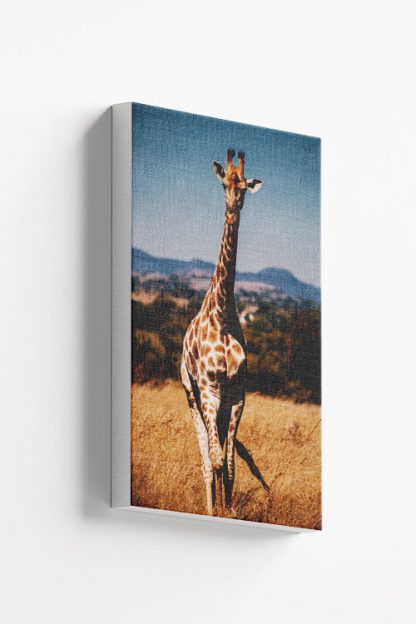 Aesthetic Giraffe Canvas