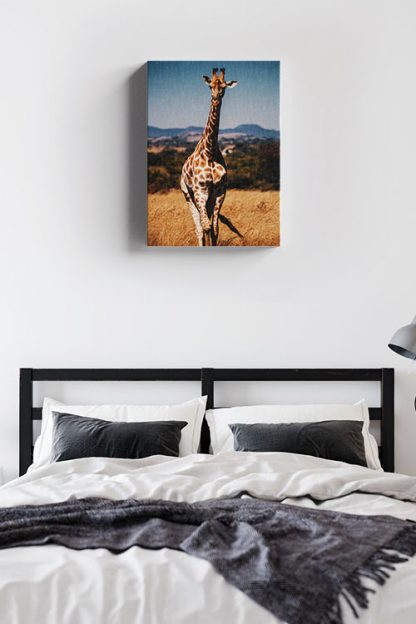 Aesthetic Giraffe Canvas in Interior