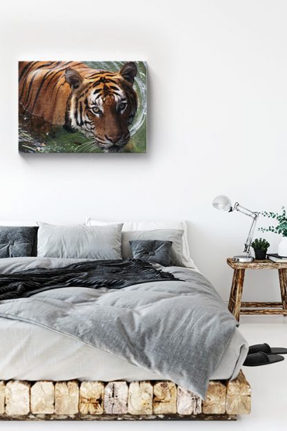 Wet tiger Canvas in Interior