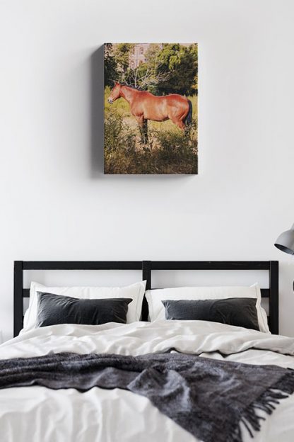 Aesthetic horse Canvas in Interior