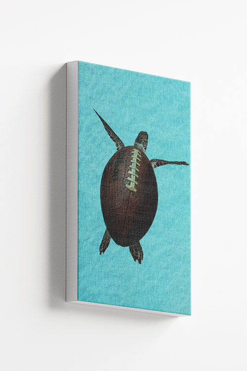 Turtle ball Canvas