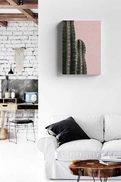 Cactus on pink background canvas in interior