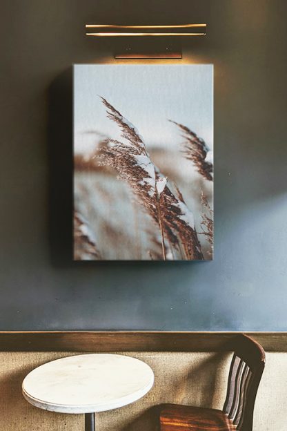 Pampas Grass Canvas