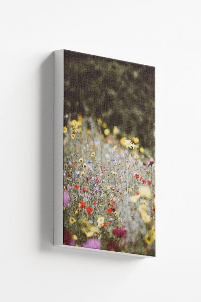 Wild Flowers Canvas