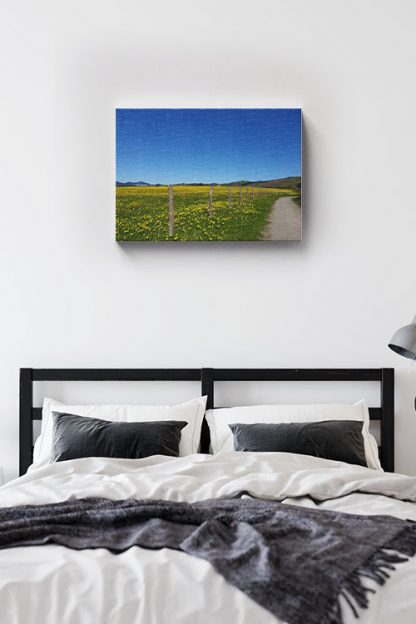 Yellow flower field canvas