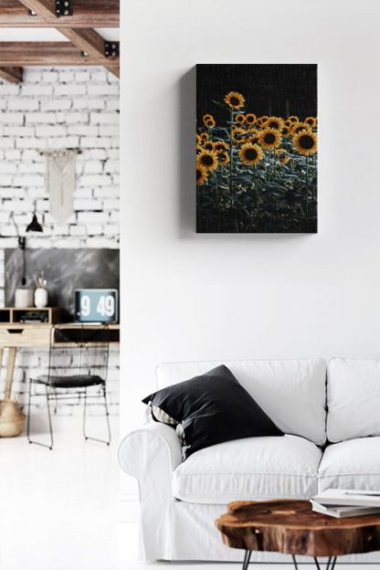 Bunch of sunflowers canvas