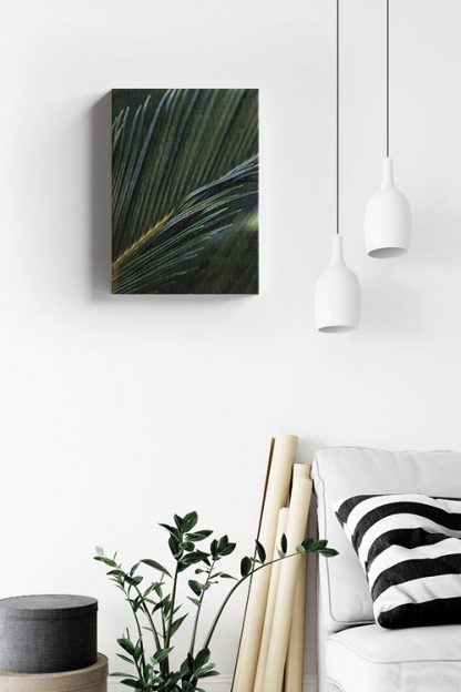 Fresh Palm leaves Canvas