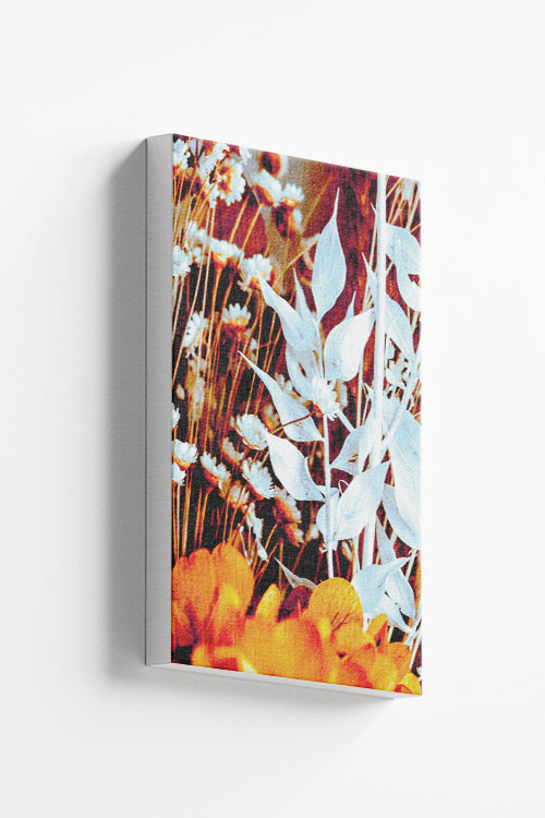 White lilies Canvas