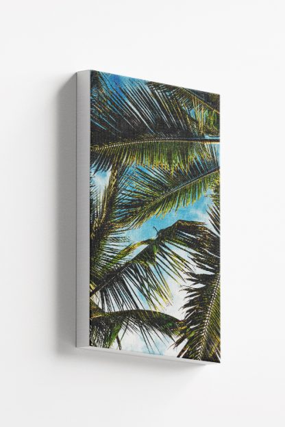 Bunch of palm leaves Canvas