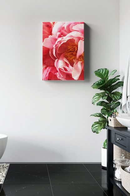 Beautiful vibrant pink flower Canvas