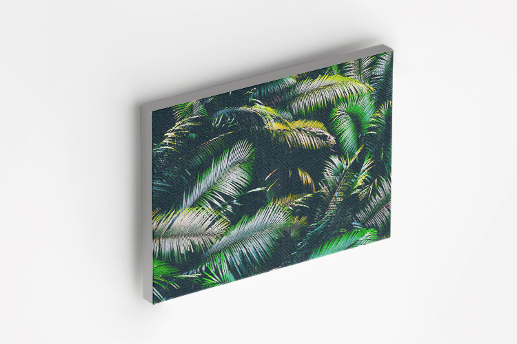 Several palm leaves Canvas